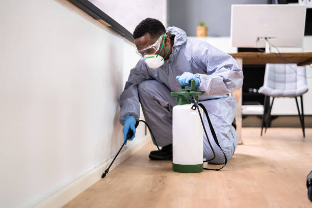 Real Estate Pest Inspections in Broomfield, CO